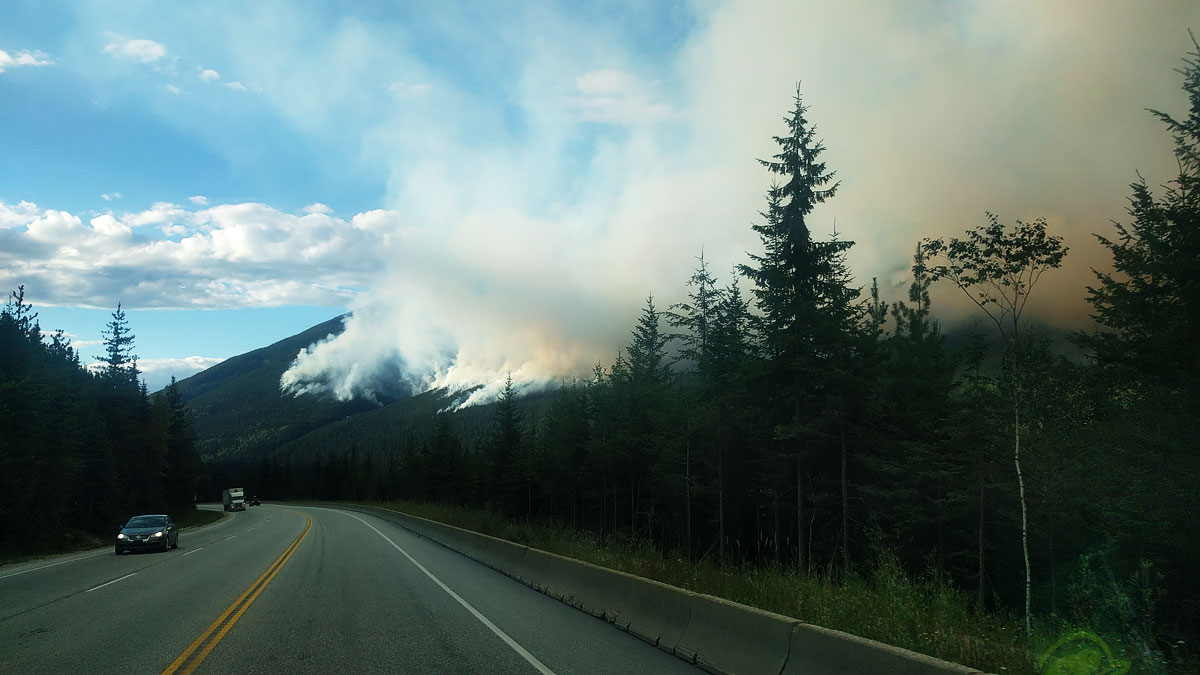 Fire season in Rogers Pass