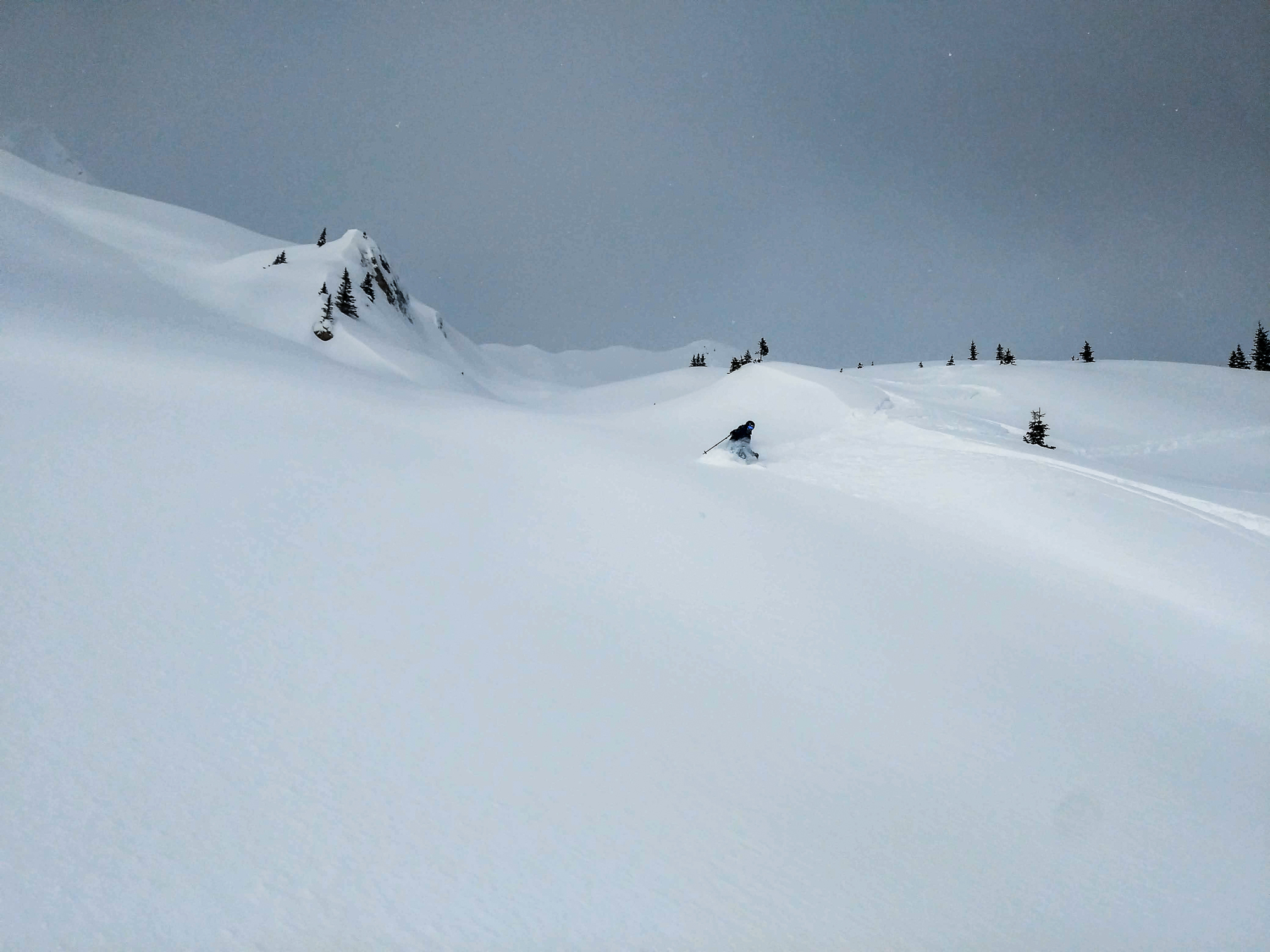 Deep and perfect Powder on Ogden Bench