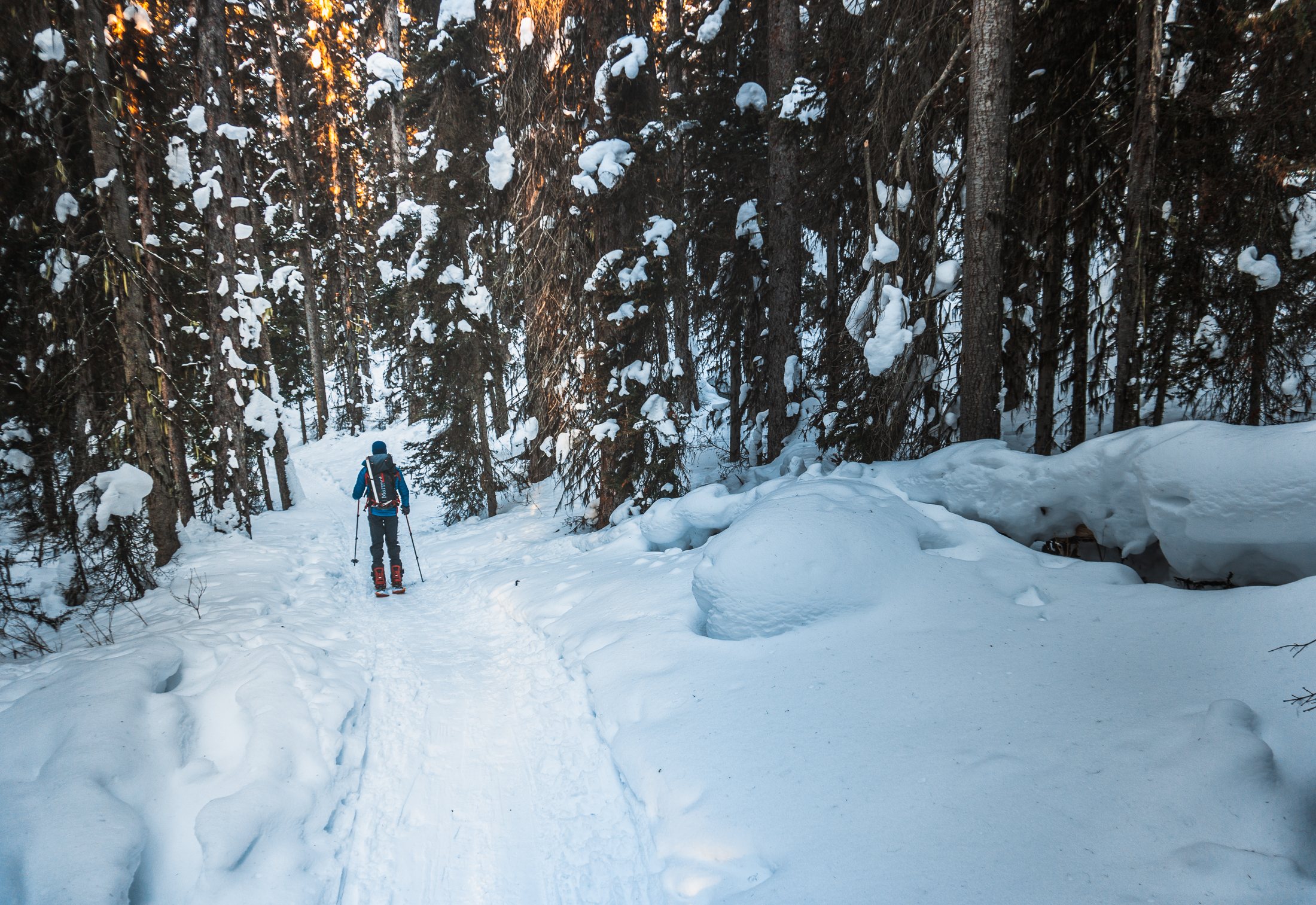 Skinning up the trail to Boom Lake in the Winter